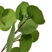 31 Inch Extra Tall Eucalyptus Stems Spray 10 Pcs Artificial Greenery Decor Bulk