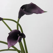 10 Pcs Artificial Calla Lily Stems 18 Inch Real Touch Silk Flowers Bulk Wholesale