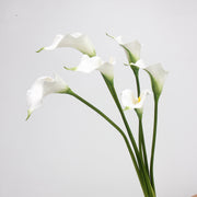 10 Pcs Artificial Calla Lily Stems 18 Inch Real Touch Silk Flowers Bulk Wholesale