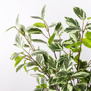 6 Pcs 39 Inch Artificial Greenery Stems Bulk Faux Long Greenery Branches