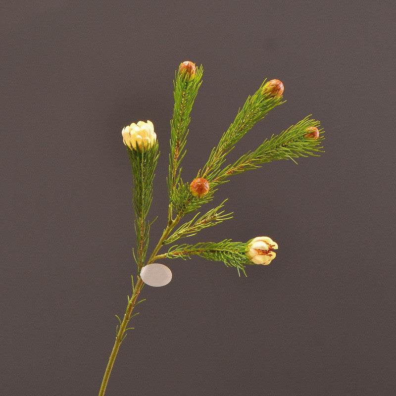 26 Inch Artificial Pine Branches Bulk Quantity Faux Greenery for Floral Arrangements