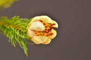 26 Inch Artificial Pine Branches Bulk Quantity Faux Greenery for Floral Arrangements