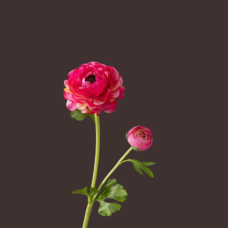20 Inch Ranunculus Stems 10 Pcs Artificial Silk Flowers for Wedding Home Decoration