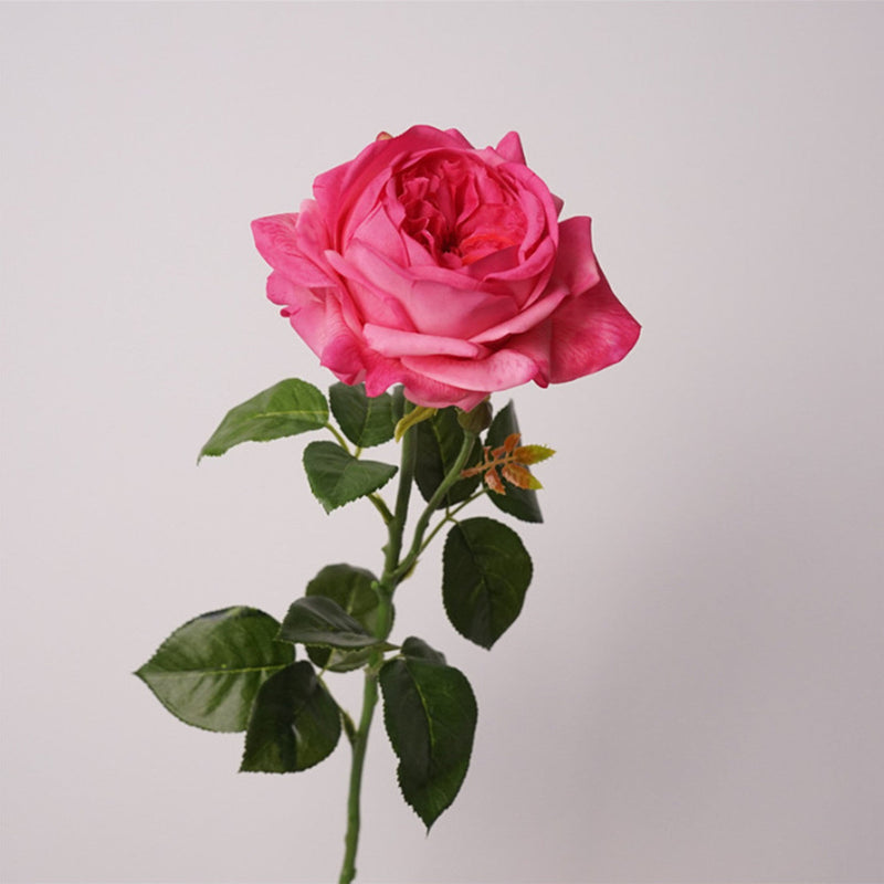 27 Inch Real Touch Silk Roses - 6 Stems Lifelike Artificial Flowers for Wedding and Home Decor
