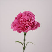 19.6 Inch Real Touch Artificial Carnations - Lifelike Silk Flowers for Wedding and Home Decor