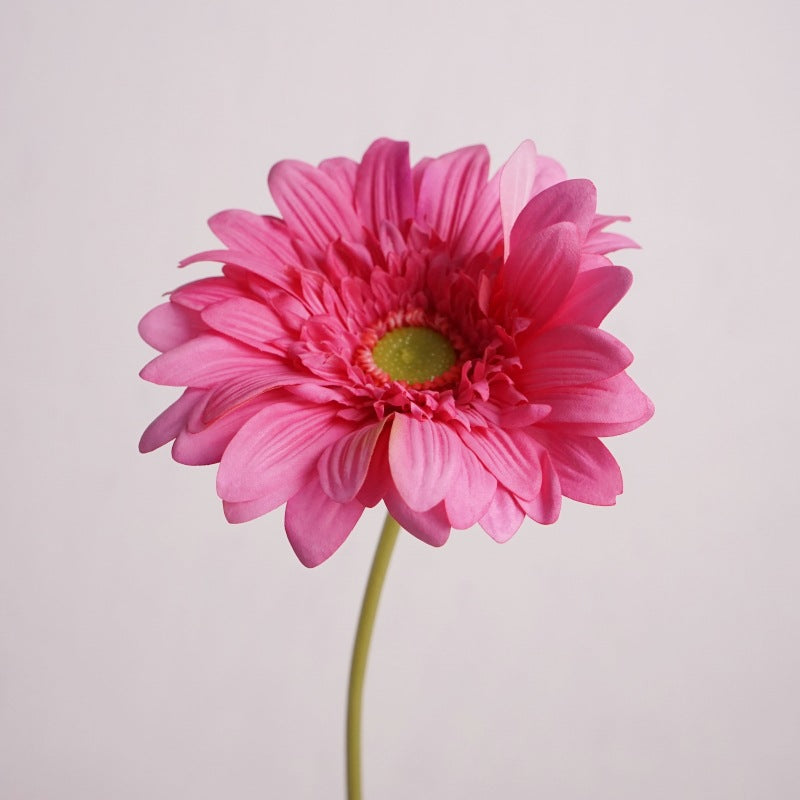 25.5 Inch Gerbera Daisy Stems 6 Pcs Real Touch Silk Artificial Flowers for Wedding Home Decor