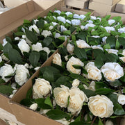 24 Inch Artificial Silk Gardenia Stems Spray Bulk 10 Pcs
