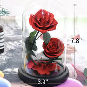3 Pcs Artificial Rose Flowers in Glass Cover for Valentines Anniversary Wedding Gifts