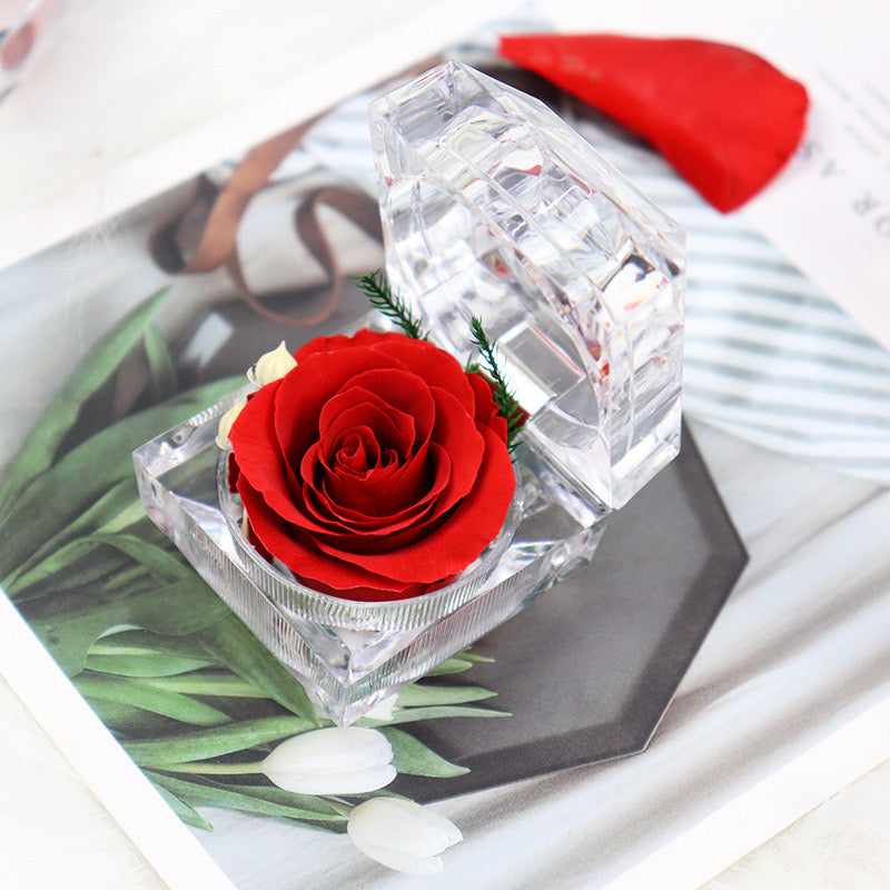 3 Pcs Artificial Rose Flowers in Glass Cover for Valentines Anniversary Wedding Gifts