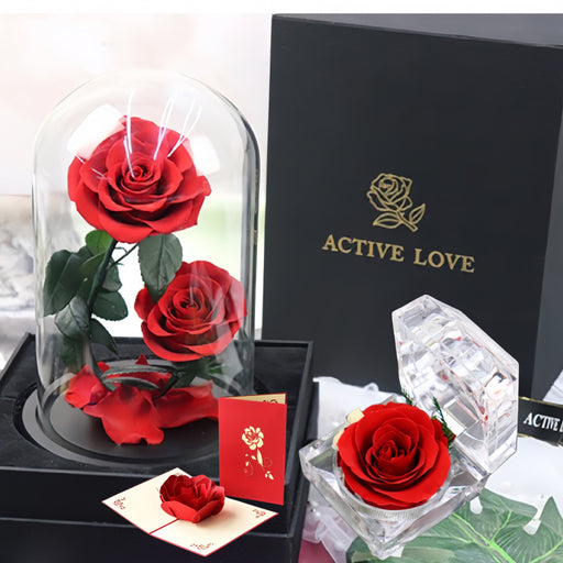 3 Pcs Artificial Rose Flowers in Glass Cover for Valentines Anniversary Wedding Gifts