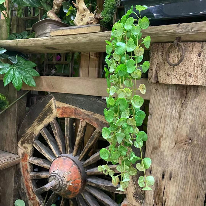 23 Inch Pennywort Garland 6 Ft Artificial Lucky Hydrocotyle Vulgare Hanging Greenery Plant