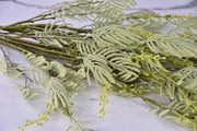 39 Inch Artificial Mimosa Stems Branches Bulk Real Touch 10 Pcs