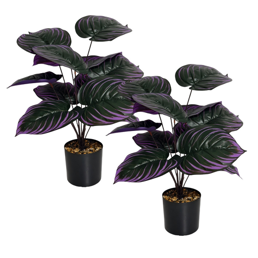 2 Pcs Artificial Calathea Leaf Potted Plants Halloween Witch Color Botanical Decor
