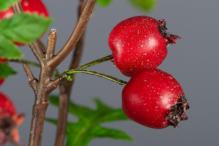 24 Inch Artificial Hawthorn Stems Spray with Fruits, 10 Pcs Bulk Branches