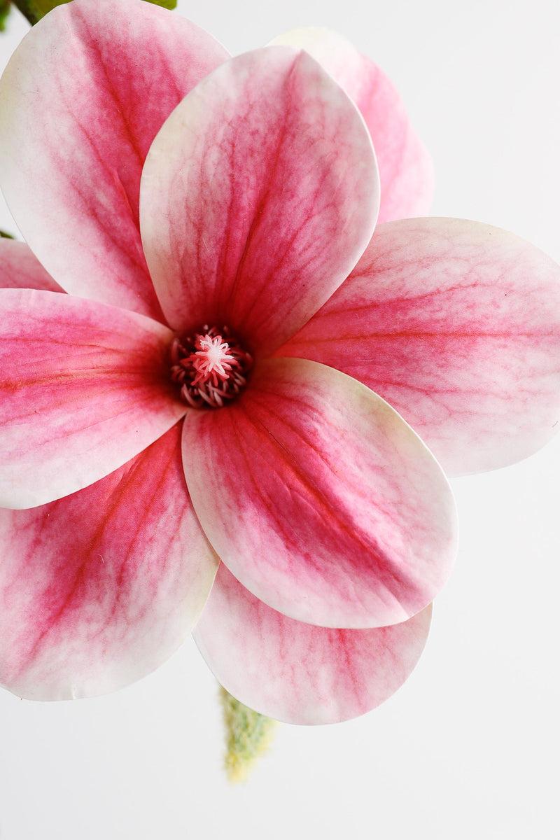 22 Inch Artificial Silk Magnolia Stems Bulk Wholesale - 22" Magnolias, 10 Pcs