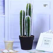 Artificial Cactus Plants 6 Pcs in Pot Bulk Wholesale Artificial Succulent Decor