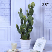 Artificial Cactus Plants 6 Pcs in Pot Bulk Wholesale Artificial Succulent Decor