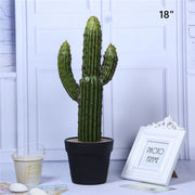Artificial Cactus Plants 6 Pcs in Pot Bulk Wholesale Artificial Succulent Decor