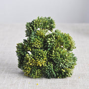 13 Colors 8 Inch Artificial Succulent Stems Bulk Pack Lifelike Silk Plants