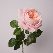 27 Inch Real Touch Silk Roses - 6 Stems Lifelike Artificial Flowers for Wedding and Home Decor