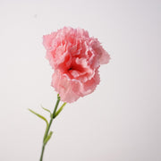 19.6 Inch Real Touch Artificial Carnations - Lifelike Silk Flowers for Wedding and Home Decor