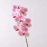 31 Inch Extra Long Vanda Orchid Stems 10 Pcs Real Touch Artificial Flowers Bulk