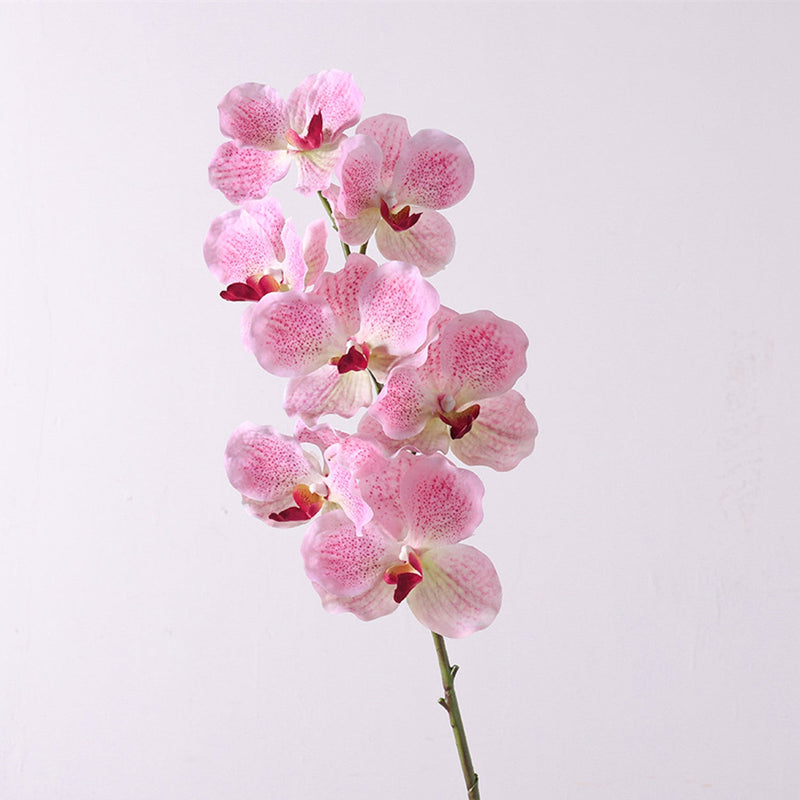 31 Inch Extra Long Vanda Orchid Stems 10 Pcs Real Touch Artificial Flowers Bulk