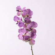 31 Inch Extra Long Vanda Orchid Stems 10 Pcs Real Touch Artificial Flowers Bulk