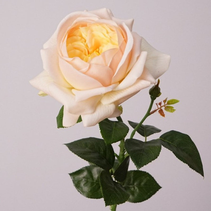 27 Inch Real Touch Silk Roses - 6 Stems Lifelike Artificial Flowers for Wedding and Home Decor