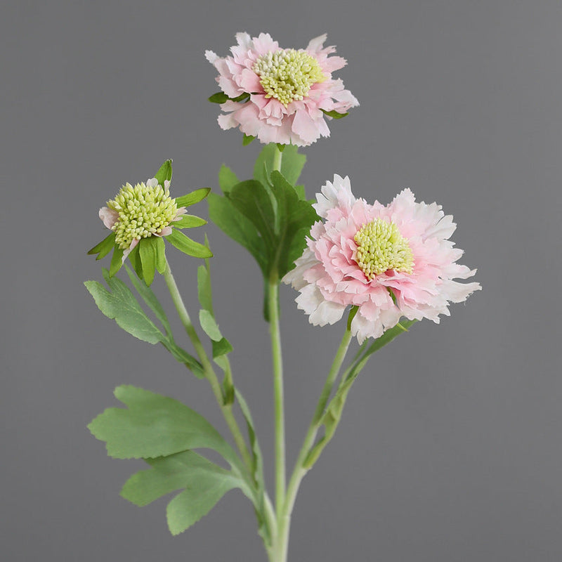 18 Inch Cephalaria Silk Flower Stems 10 Pcs Artificial Bulk for Wedding Home Decor
