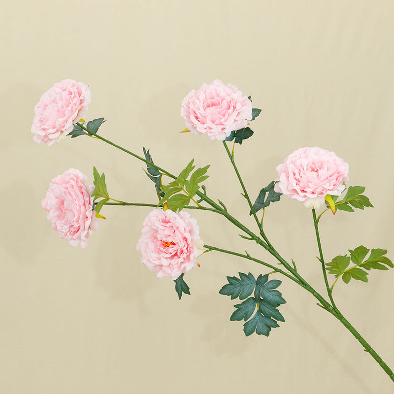 50 Inch Extra Tall Artificial Silk Peony Flowers, Large Faux Peonies, Bulk 10 Pcs for Wedding Home Decor Table Centerpieces