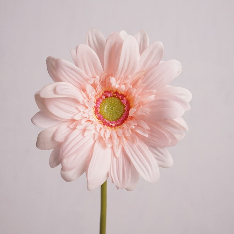 25.5 Inch Gerbera Daisy Stems 6 Pcs Real Touch Silk Artificial Flowers for Wedding Home Decor