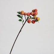 10 Pcs Artificial Litchi Fruit Stems Branches Bulk Wholesale