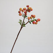 10 Pcs Artificial Litchi Fruit Stems Branches Bulk Wholesale