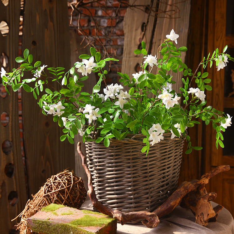 31-Inch Extra-Long Silk Locust Flower Branch Stems, Bulk Quantity