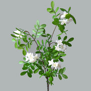 31-Inch Extra-Long Silk Locust Flower Branch Stems, Bulk Quantity