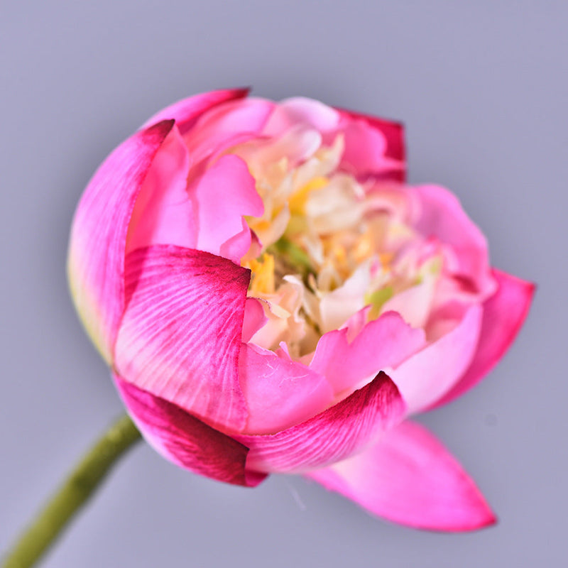 6 Pcs Artificial Lotus Flower Bouquet, 26.7 Inch Long Stems, Silk Lotus Arrangements