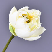 6 Pcs Artificial Lotus Flower Bouquet, 26.7 Inch Long Stems, Silk Lotus Arrangements
