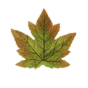 50 Pcs Artificial Maple Leaves Autumn Decorations for Thanksgiving Cake Presentation & Packaging