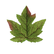50 Pcs Artificial Maple Leaves Autumn Decorations for Thanksgiving Cake Presentation & Packaging