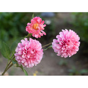 29 Inch Artificial Marigold Spray Stems Branches 10 Pcs Fall Flowers Bulk