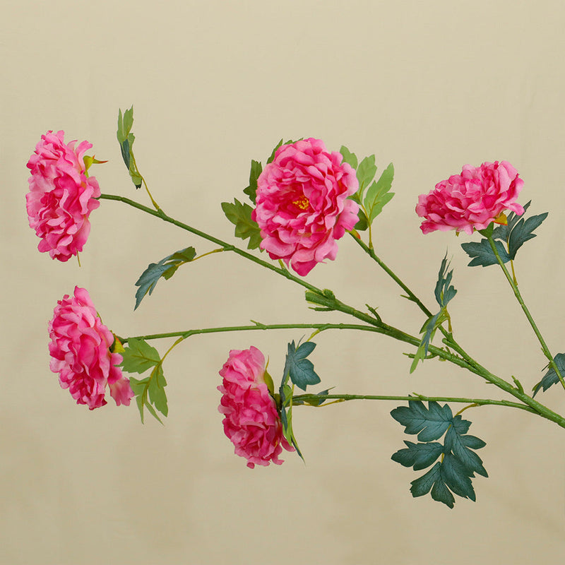 50 Inch Extra Tall Artificial Silk Peony Flowers, Large Faux Peonies, Bulk 10 Pcs for Wedding Home Decor Table Centerpieces