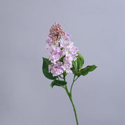 24 Inch Lilac Faux Silk Flower Stems, 10 Pcs Artificial Spring Flowers Bulk
