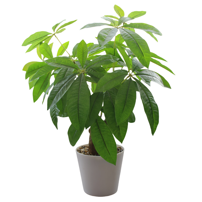 17 Inch Artificial Money Tree Plant 1 Pc Potted Lucky Feng Shui Greenery