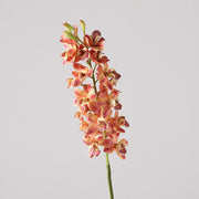 30 Inch Artificial Cymbidium Stems, 6 Pcs Silk Spring Flowers Bulk Pack