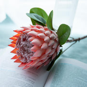 6 Pcs 20 Inch Artificial King Protea Stems Bouquet Faux Silk Fall Flowers