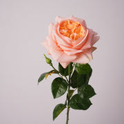 27 Inch Real Touch Silk Roses - 6 Stems Lifelike Artificial Flowers for Wedding and Home Decor