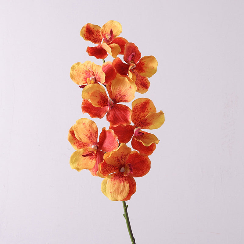 31 Inch Extra Long Vanda Orchid Stems 10 Pcs Real Touch Artificial Flowers Bulk