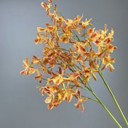 Spider Orchid Stems 10 Pcs 20 Inch Real Touch Artificial Silk Flower Branches for Spring Floral Arrangements