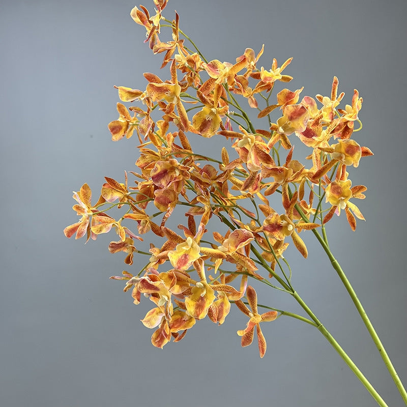 Spider Orchid Stems 10 Pcs 20 Inch Real Touch Artificial Silk Flower Branches for Spring Floral Arrangements